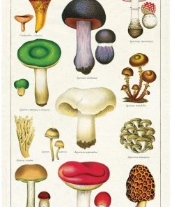 Discount ✔️ CAVALLINI All Mushrooms | TEA TOWEL 🔔