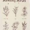 Deals 👍 GOTHIC GIFTS All Healing Herbs | TEA TOWEL ⭐ 2 Deals 👍 GOTHIC GIFTS All Healing Herbs | TEA TOWEL ⭐ -Beserk Home Store gothic gifts healing herbs tea towel 1 aed11ed2 e0a1 406f 9d6c f398f395b081 700x700