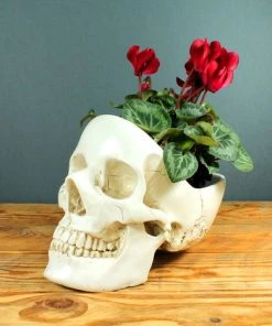 Flash Sale 👍 SUCK UK Gothic Homewares Skull | BOWL [WHITE] 🔔 -Beserk Home Store skull white tidy 1 700x700